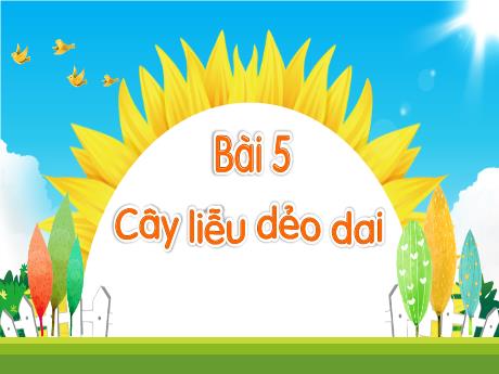 Bài giảng Tiếng Việt 1 (Kết nối tri thức) - Bài 5: Cây liễu dẻo dai - Trường Tiểu học Bát Tràng