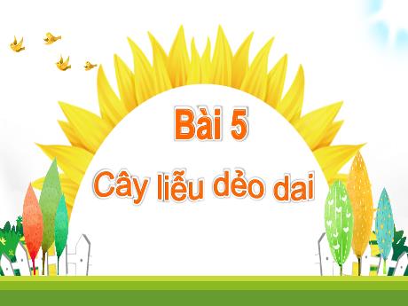 Bài giảng Tiếng Việt 1 (Kết nối tri thức) - Bài 5: Cây liễu dẻo dai (Tiết 3) - Trường Tiểu học Bát Tràng