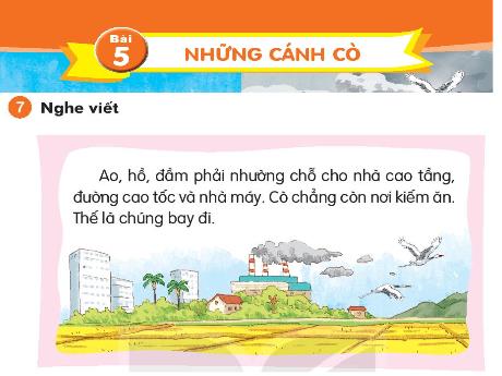 Bài giảng Tiếng Việt 1 (Kết nối tri thức) - Bài 5: Những cánh cò - Trường Tiểu học Bát Tràng