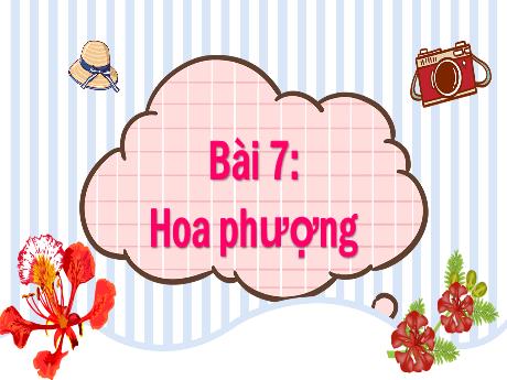 Bài giảng Tiếng Việt 1 (Kết nối tri thức) - Bài 7: Hoa phượng - Trường Tiểu học Bát Tràng