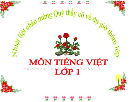 Bài giảng Tiếng Việt 1 (Kết nối tri thức) - Chủ đề 6 - Bài 1: Loài chim của biển cả - Trường Tiểu học Bát Tràng