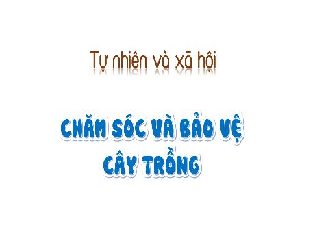 Bài giảng Tự nhiên xã hội 1 (Kết nối tri thức) - Bài 16: Chăm sóc và bảo vệ cây trồng - Trường Tiểu học Bát Tràng