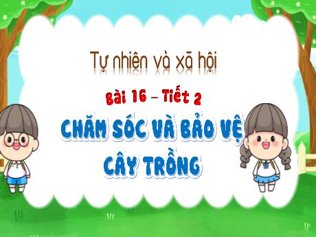Bài giảng Tự nhiên xã hội 1 (Kết nối tri thức) - Bài 16: Chăm sóc và bảo vệ cây trồng (Tiết 2) - Trường Tiểu học Bát Tràng