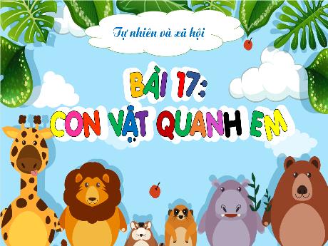 Bài giảng Tự nhiên xã hội 1 (Kết nối tri thức) - Bài 17: Con vật quanh em - Trường Tiểu học Bát Tràng