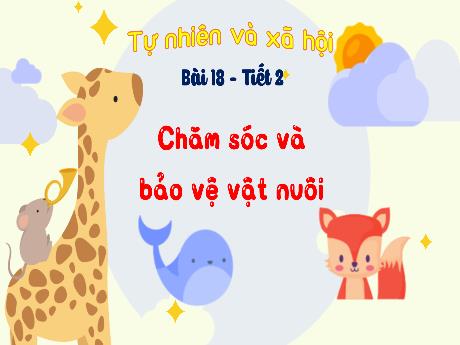 Bài giảng Tự nhiên xã hội 1 (Kết nối tri thức) - Bài 18: Chăm sóc và bảo vệ vật nuôi (Tiết 2) - Trường Tiểu học Bát Tràng