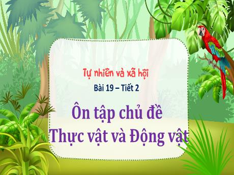 Bài giảng Tự nhiên xã hội 1 (Kết nối tri thức) - Bài 19: Ôn tập chủ đề thực vật và động vật (Tiết 2) - Trường Tiểu học Bát Tràng