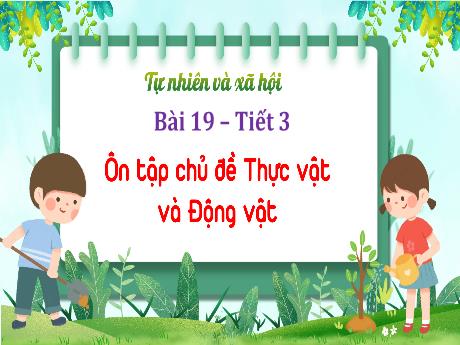 Bài giảng Tự nhiên xã hội 1 (Kết nối tri thức) - Bài 19: Ôn tập chủ đề vê thực vật và động vật (Tiết 3) - Trường Tiểu học Bát Tràng
