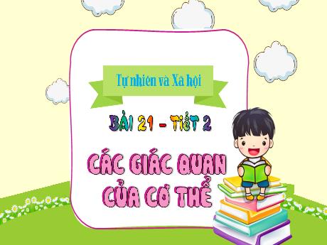 Bài giảng Tự nhiên xã hội 1 (Kết nối tri thức) - Bài 21: Các giác quan của cơ thể (Tiết 2) - Trường Tiểu học Bát Tràng